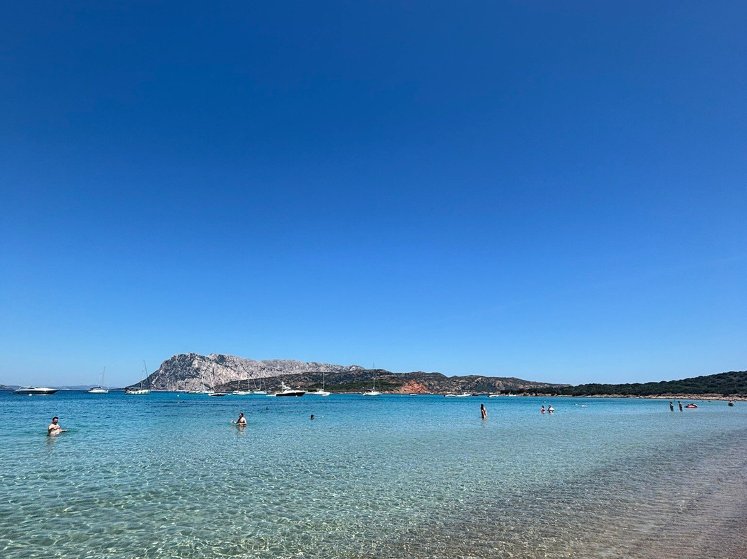 Spiaggia Capo Coda Cavallo-San Teodoro必去景点