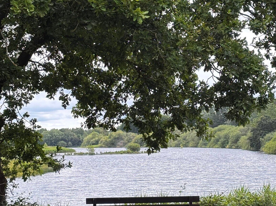 Whisby Nature Park-林肯必去景点