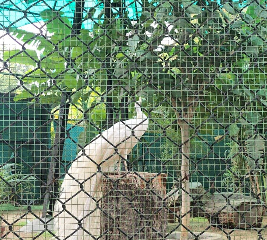 Nehru Zoological Park-海德拉巴必去景点