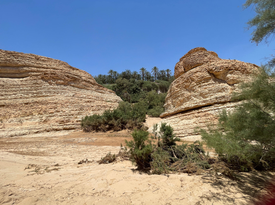 Mides Valley-Tozeur Governorate必去景点