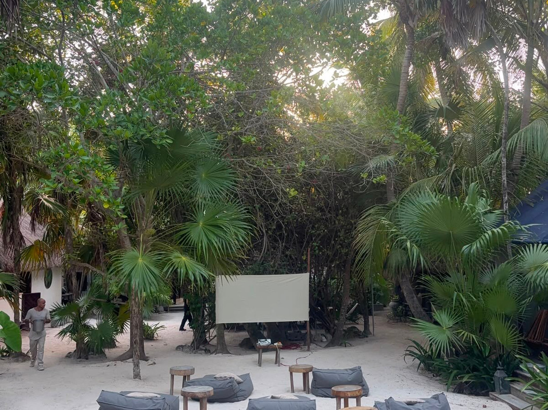 Libelula  Beachfront Hotel 蜻蜓图兰海滨酒店主图
