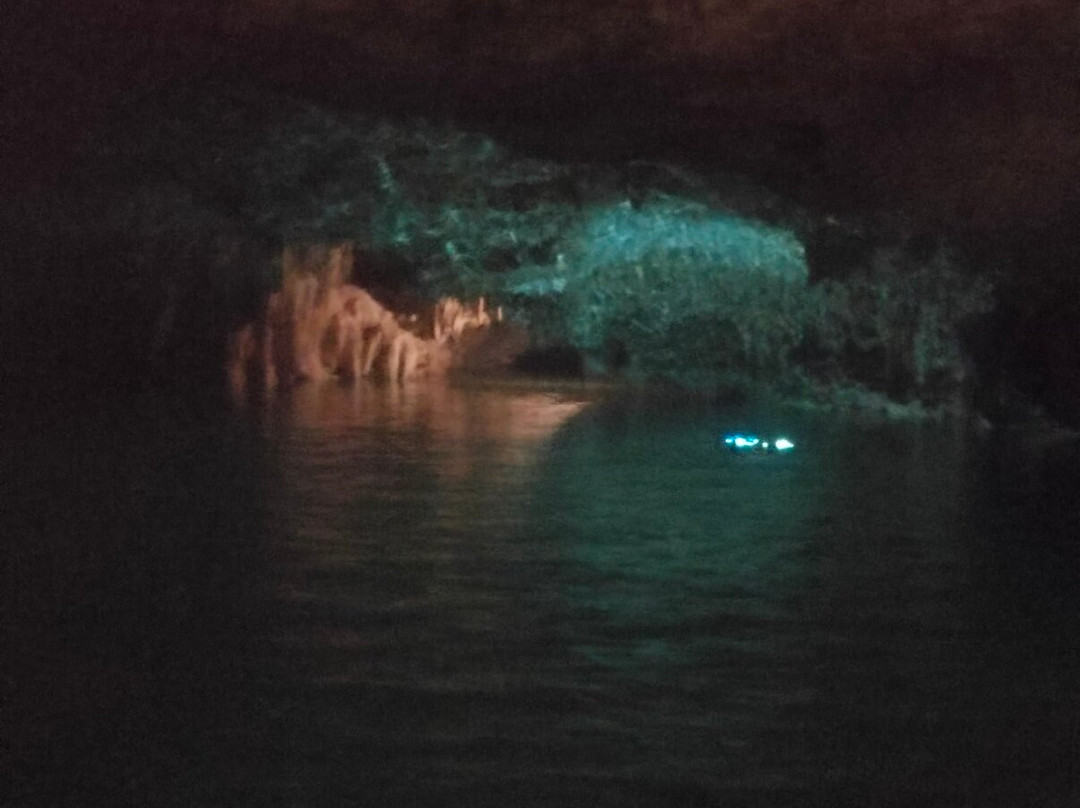 Parque De Cenotes Yax-Muul-图伦必去景点