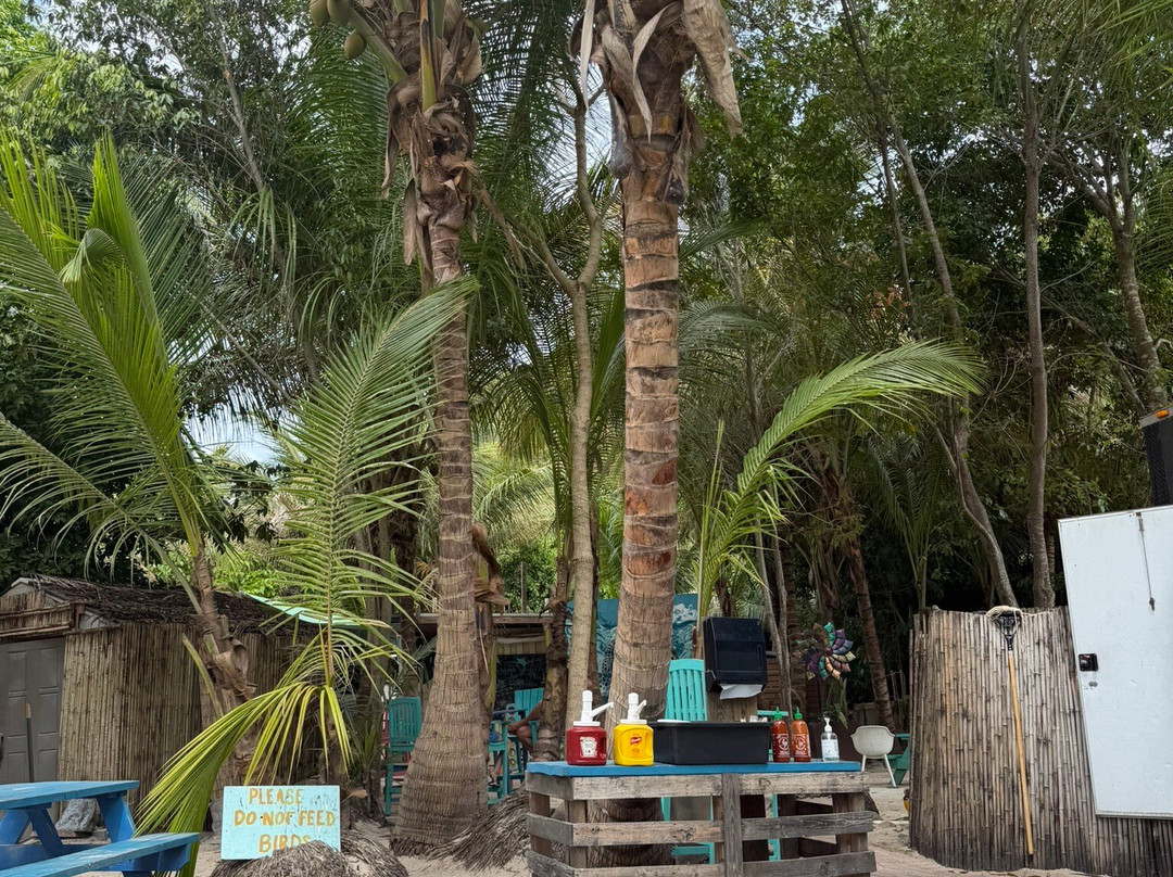 Maho Bay Beach-克鲁兹湾必去景点