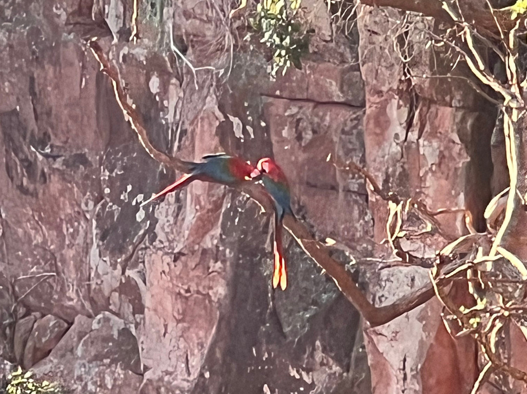 Buraco das Araras Ecoturismo-雅尔丁必去景点