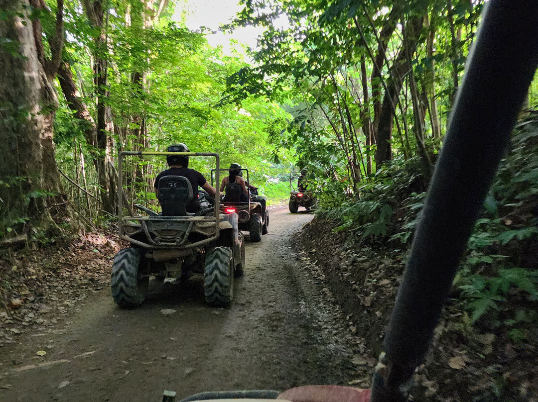 Carabali Rainforest Park-Luquillo必去景点