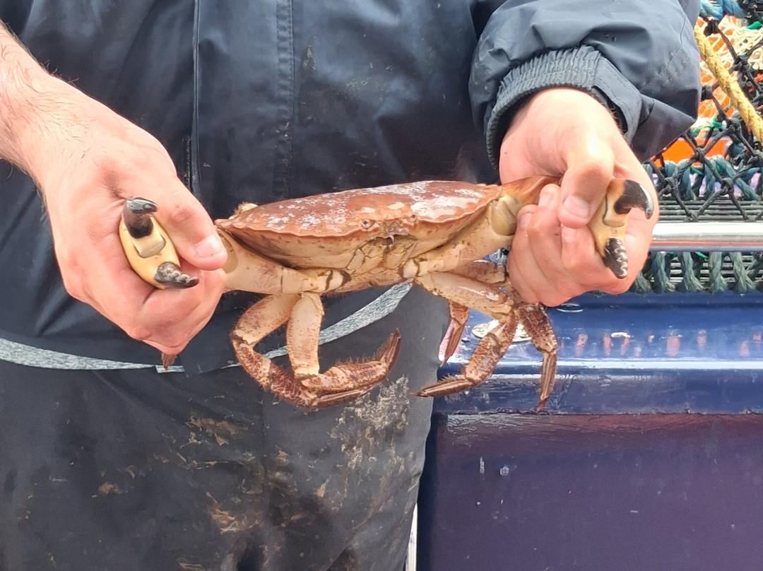 Gairloch Glass Bottom Boat Cruises-盖尔洛赫必去景点