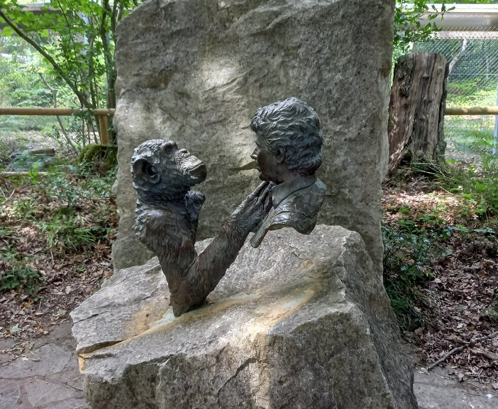 Monkey World-韦勒姆必去景点