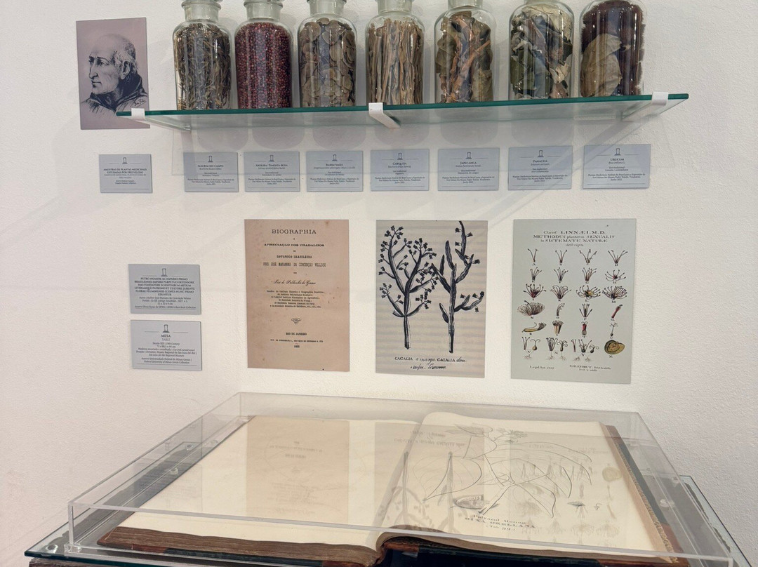 Museu Casa Padre Toledo-蒂拉登特斯必去景点