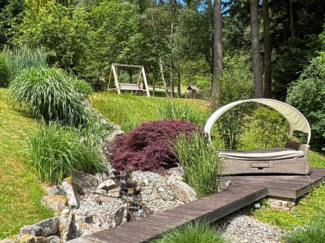 Waldhotel Grüner Baum主图