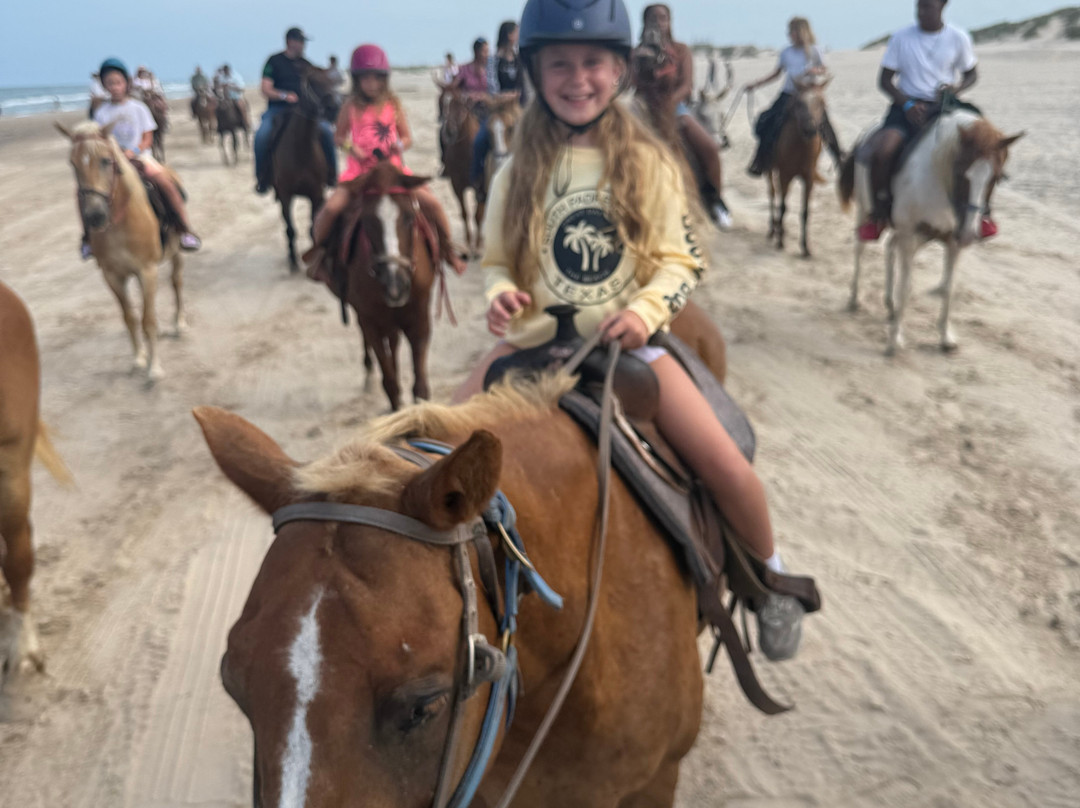 South Padre Island Adventure Park-南帕诸岛必去景点