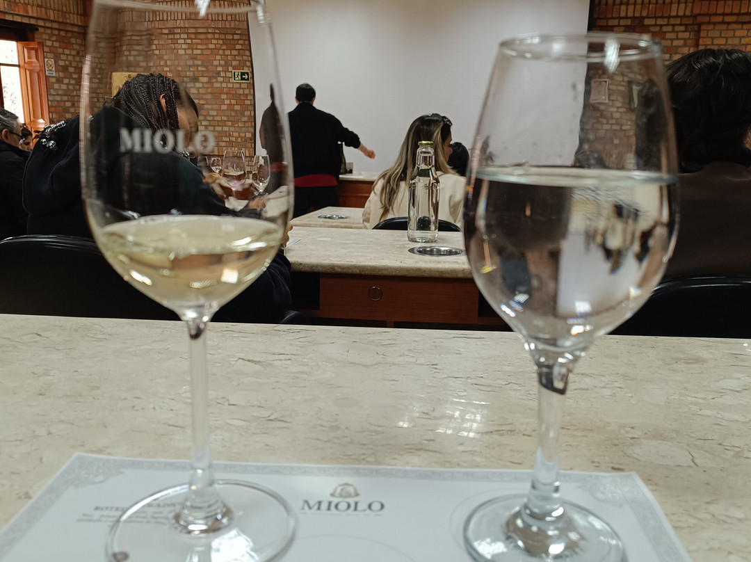 Miolo Wine Group-本图贡萨尔维斯必去景点