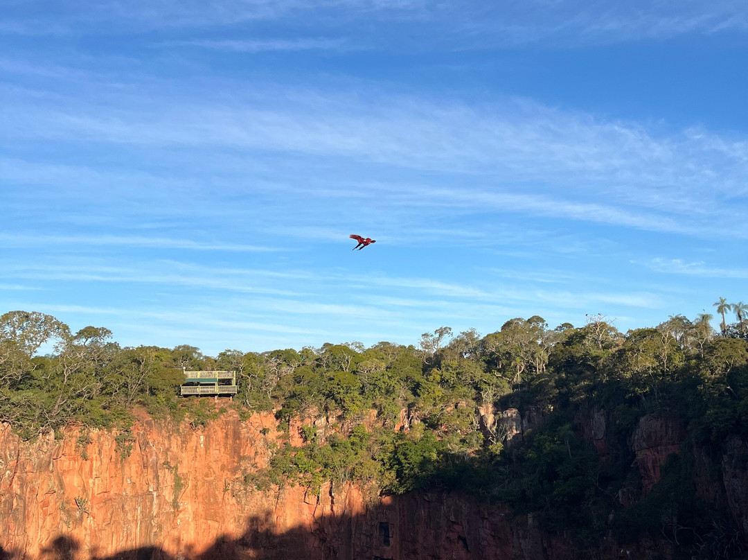 Buraco das Araras Ecoturismo-雅尔丁必去景点
