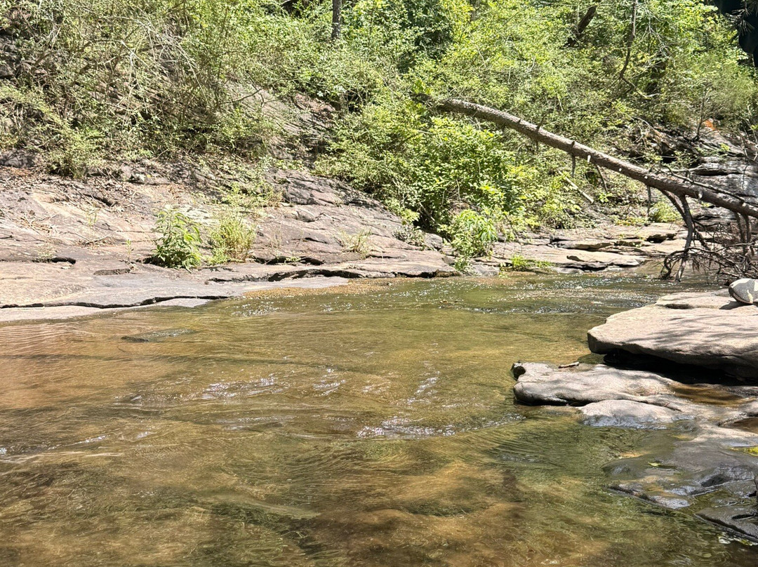Ozone Falls State Natural Area-Crab Orchard必去景点