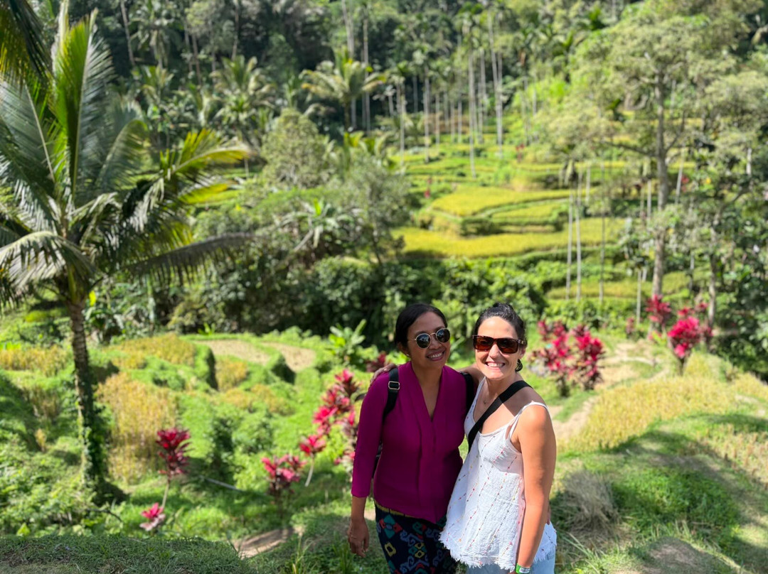 Guia Turistico Bali - Day Tours-沙努尔必去景点