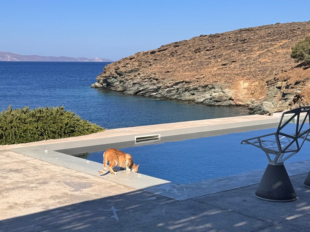 Archipelagotinos主图