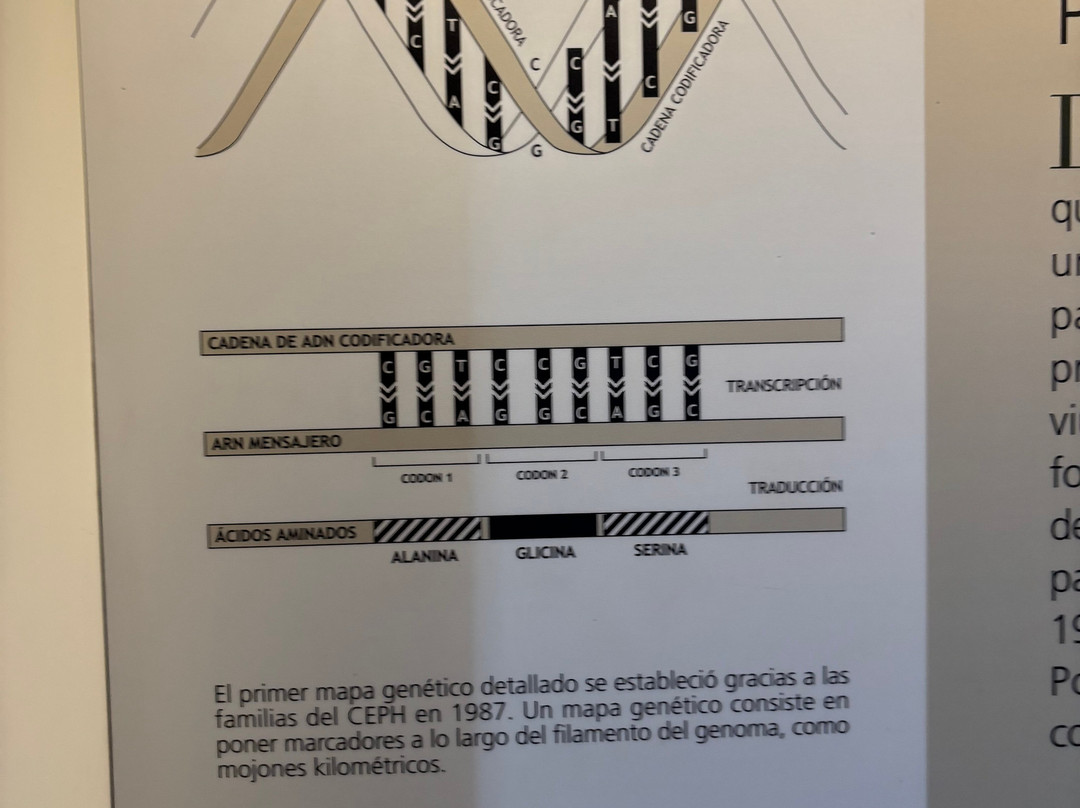 科学艺术城-巴伦西亚必去景点
