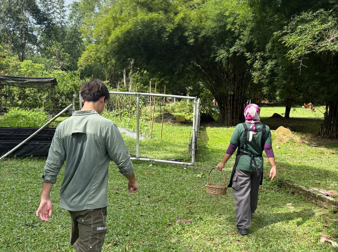 Langkawi Cooking School at Buluh & Tebing Organic Farm-兰卡威必去景点