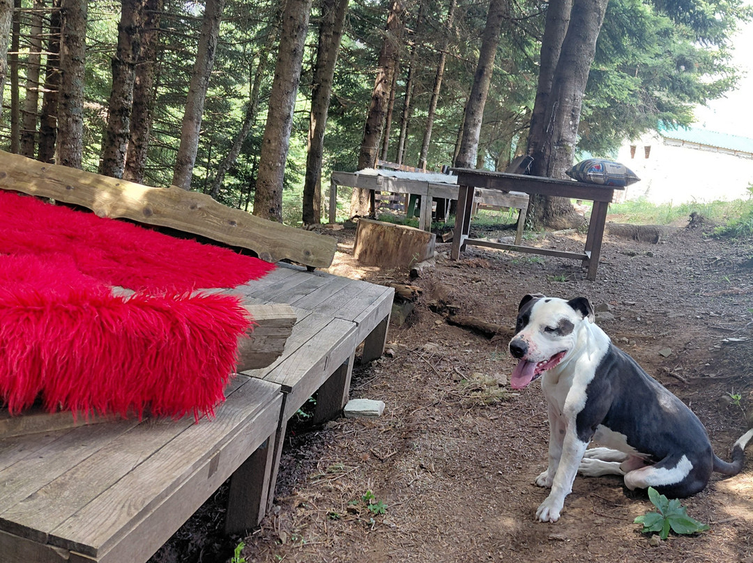 Agrafa Shelter