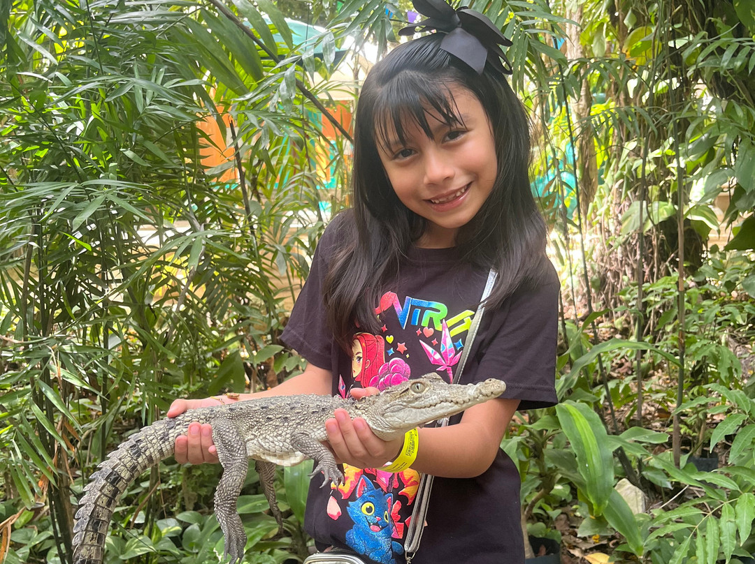 Croco Cun Zoo-从莫雷洛斯港必去景点