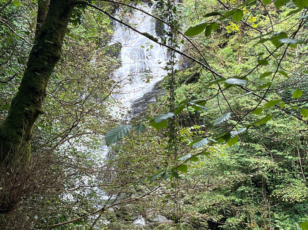 Torc Waterfall-基拉尼必去景点