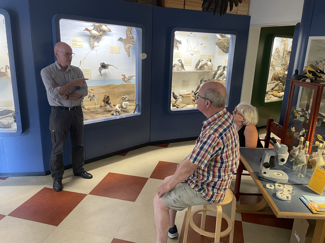Naturhistorisk Museum - Skagen Naturcenter-斯卡恩必去景点