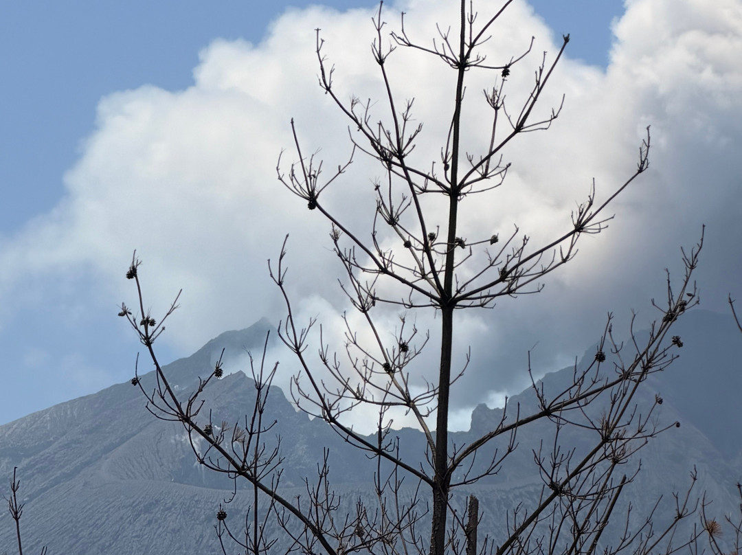 樱岛火山-鹿儿岛市必去景点