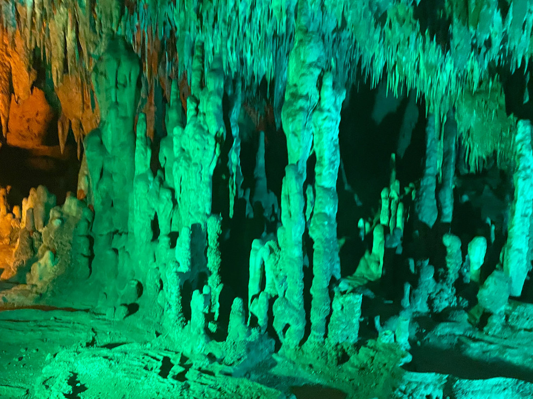 Florida Caverns State Park-Marianna必去景点