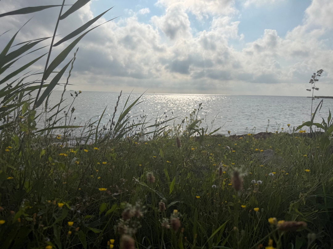 EuroParcs Enkhuizer Strand