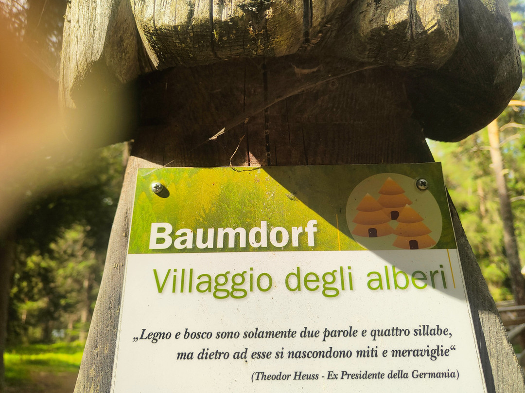 Villaggio degli alberi-多比亚科必去景点