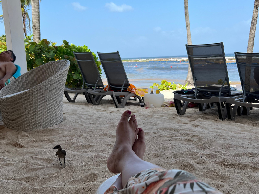 Catalonia Yucatan Beach - All Inclusive主图