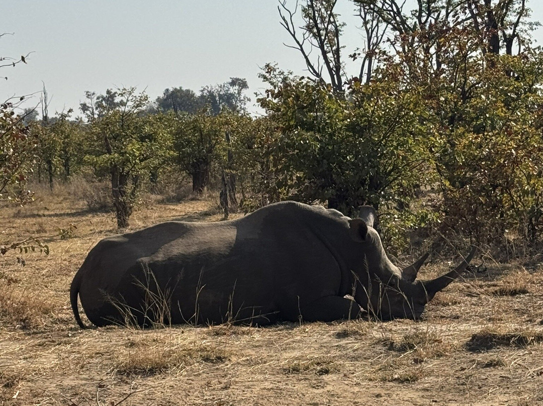 Mosi-oa-Tunya National Park-李文斯顿必去景点