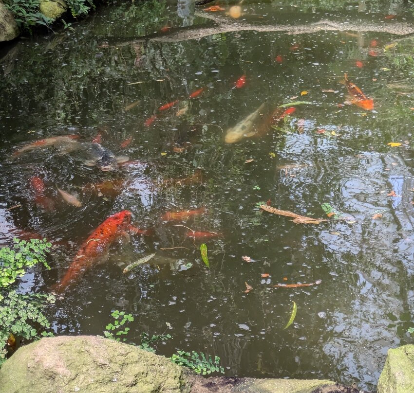 Butterfly Park-Castello d'Empuries必去景点