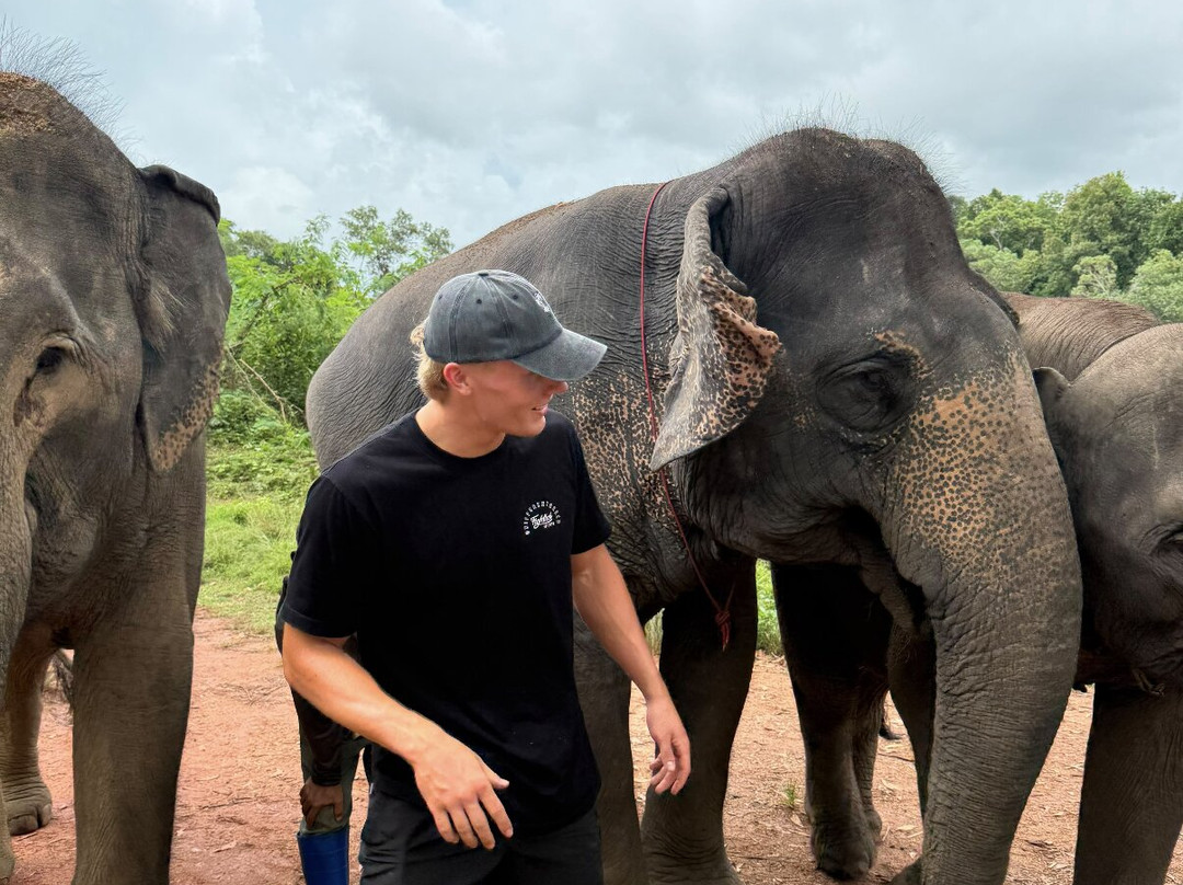 The Lake Phuket Elephant Home-Thep Krasatti必去景点