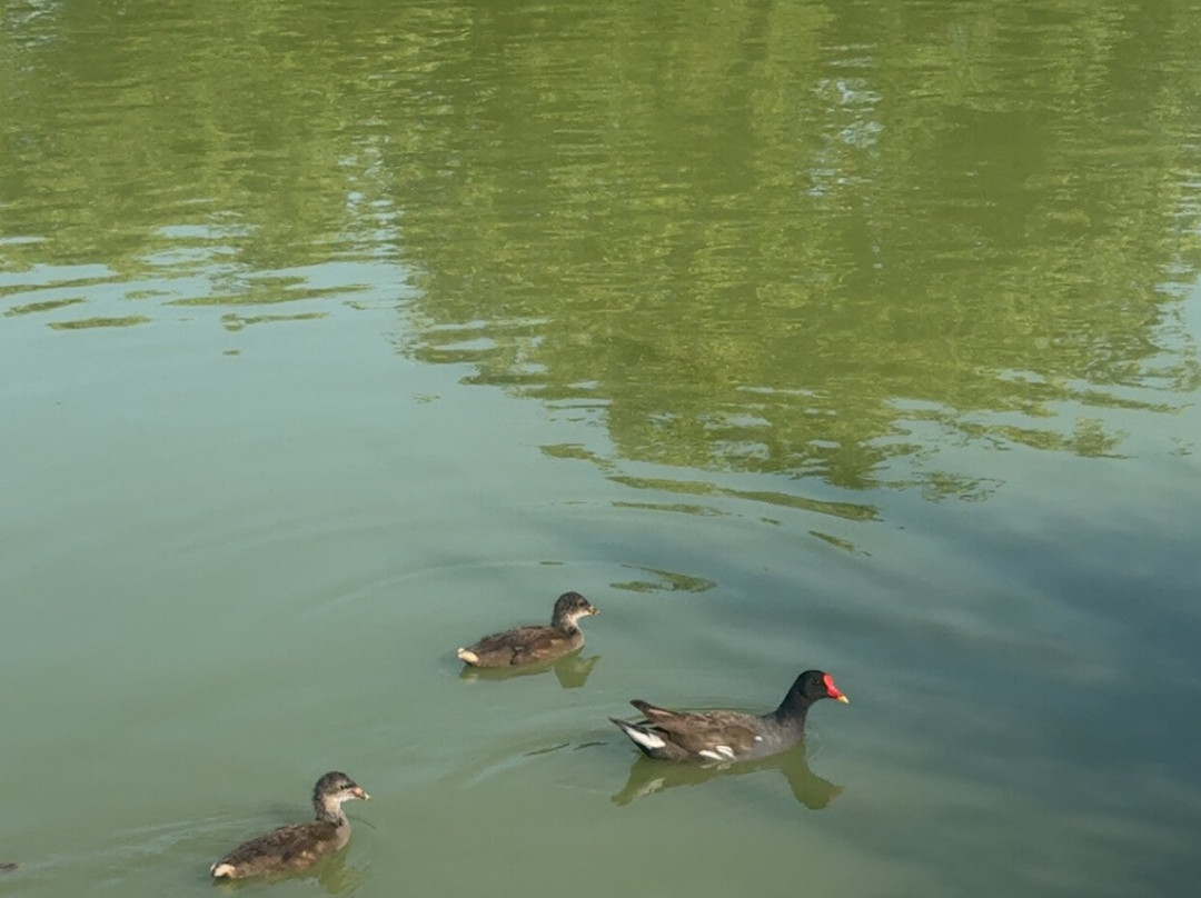Burton Springs Fishing and Holidays-布里奇沃特必去景点