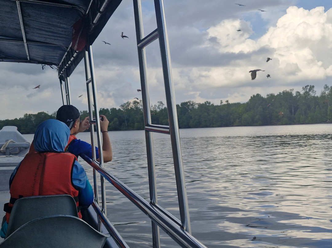 Matang Mangrove Forest Reserve-Kuala Sepetang必去景点