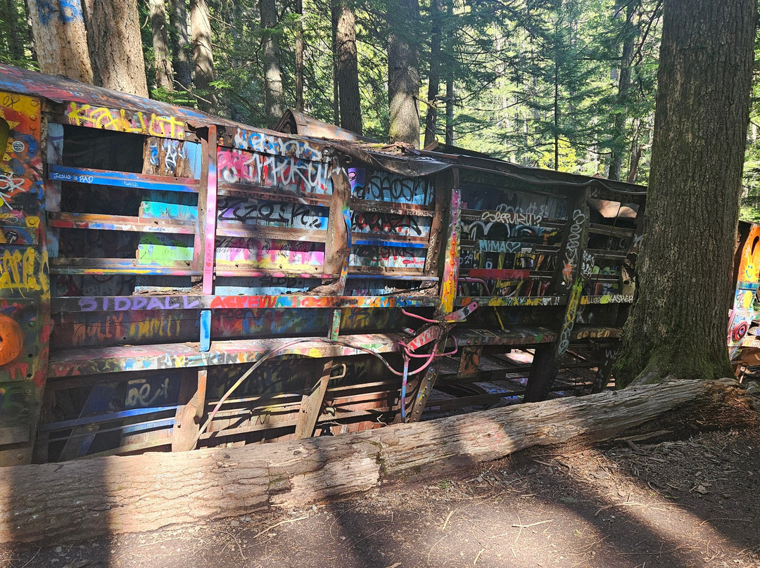 The Whistler Train Wreck Trail-惠斯勒必去景点