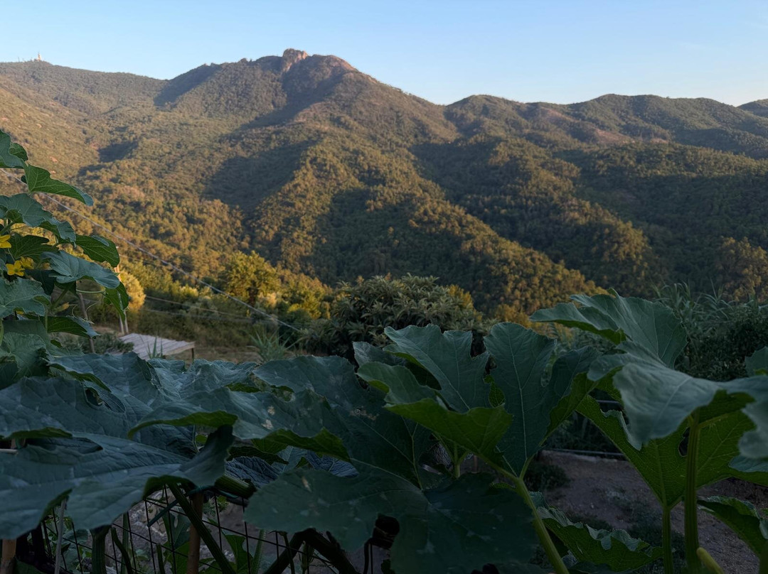 Locanda Veleura