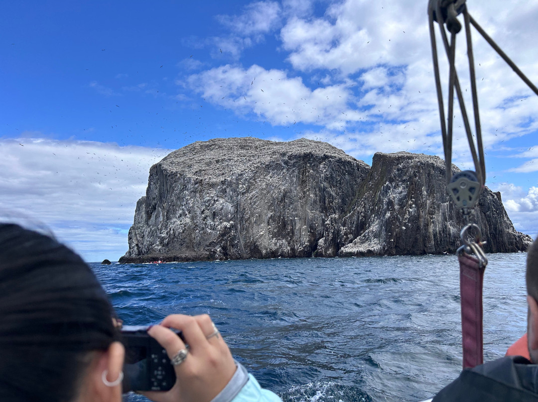 Scottish Seabird Centre-北柏威克必去景点