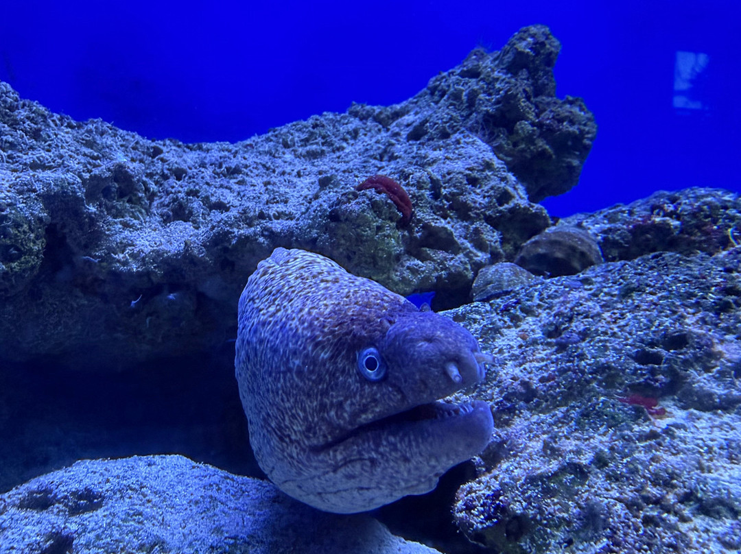 Acquario Del Salento-Santa Maria al Bagno必去景点