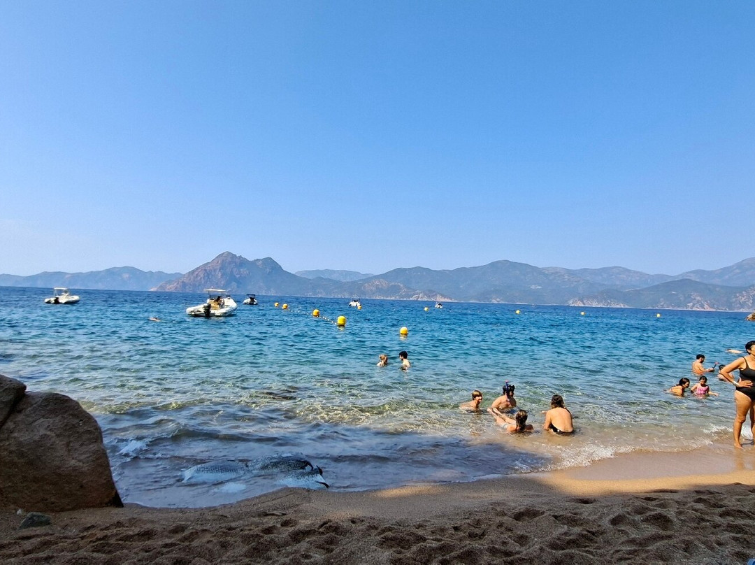 Plage de Ficajola-Piana必去景点