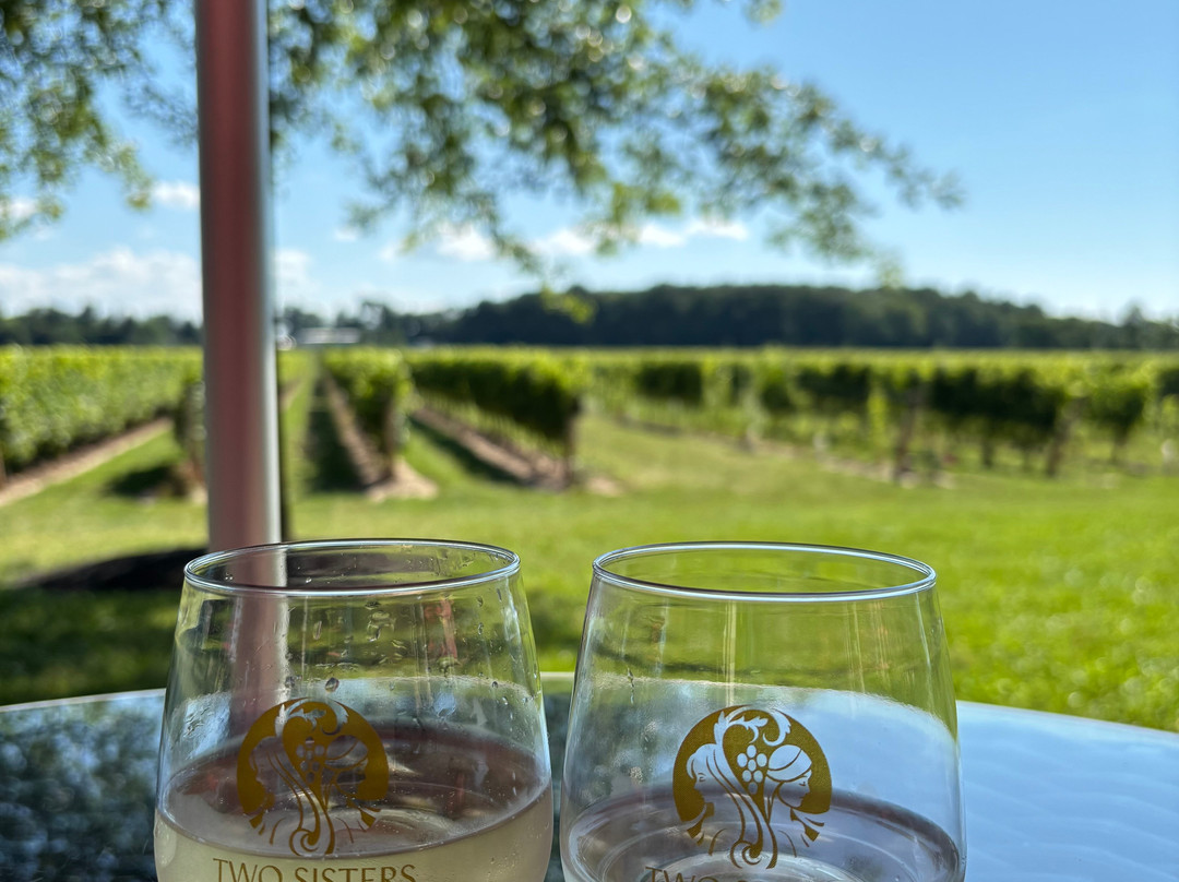 Two Sisters Vineyards-滨湖尼亚加拉必去景点