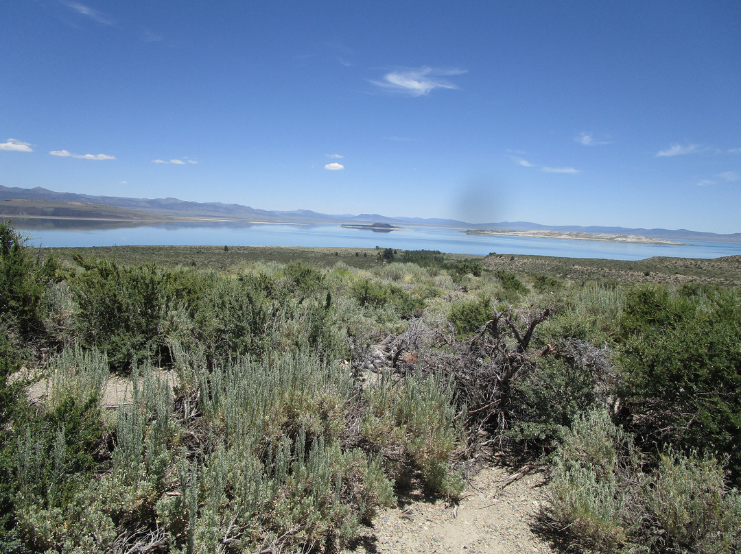 Mono Basin Scenic Area Visitor Center-利韦宁必去景点