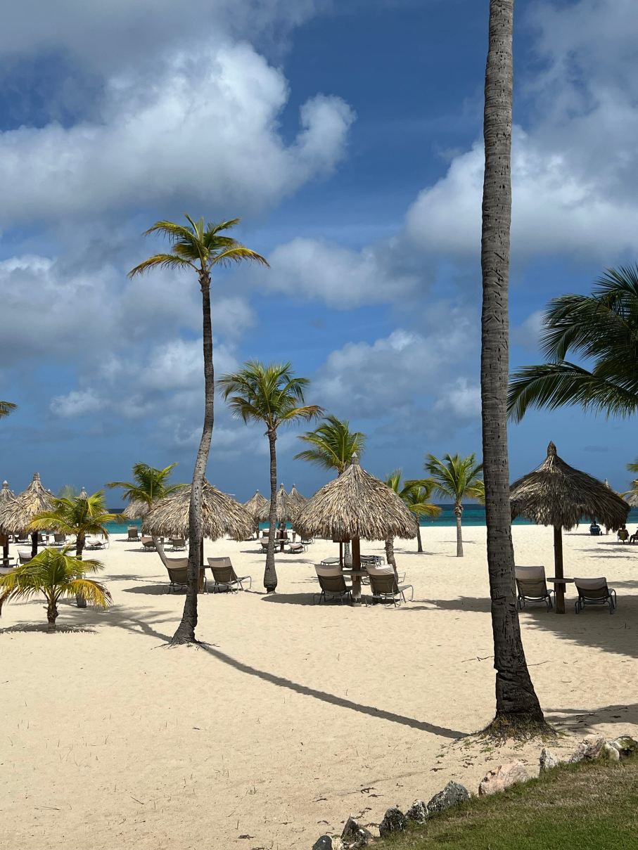 曼彻博海滩Spa度假酒店-旅行者