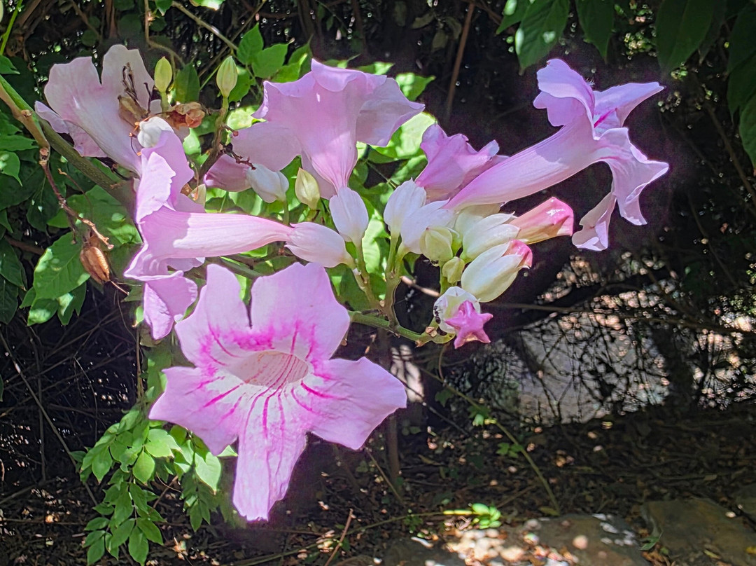 Botanical Garden Of Crete-Fournes必去景点