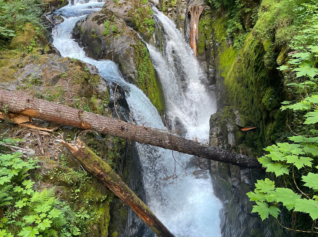 Sol Duc Falls-奥林匹克国家公园必去景点