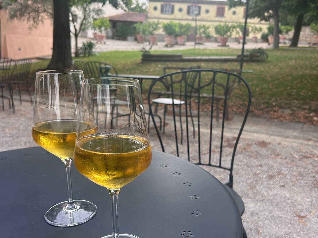 Tenuta di Frassineto-阿雷佐必去景点