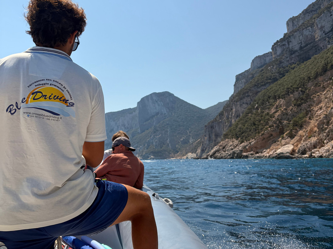 Blue Driving - Noleggio Gommoni ed escursioni nel Golfo di Orosei-奥罗塞必去景点