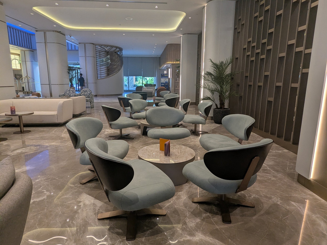 德尔芬迪瓦高级酒店主图
