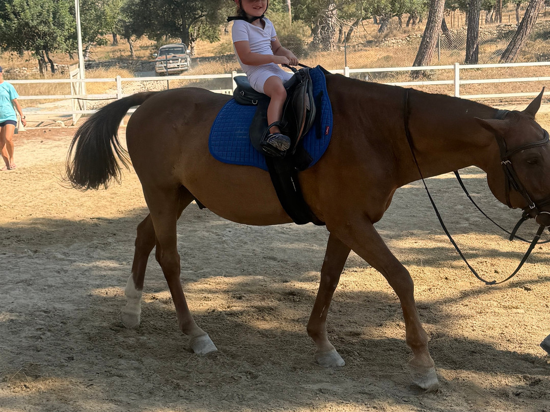 Aphrodite Hills Riding Club-库克利亚必去景点