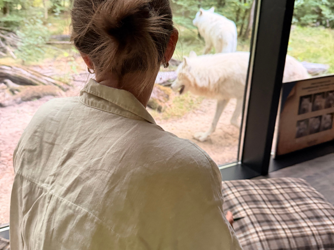 Parc Animalier De Sainte-croix-Rhodes必去景点